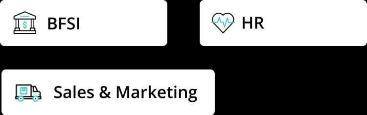 Domain Specialization in BFSI, HR, Sales/Marketing